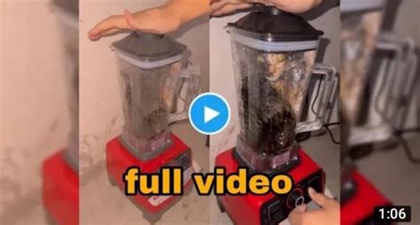 who put a cat into a blender|The Controversial Video: The Shocking Truth Behind。